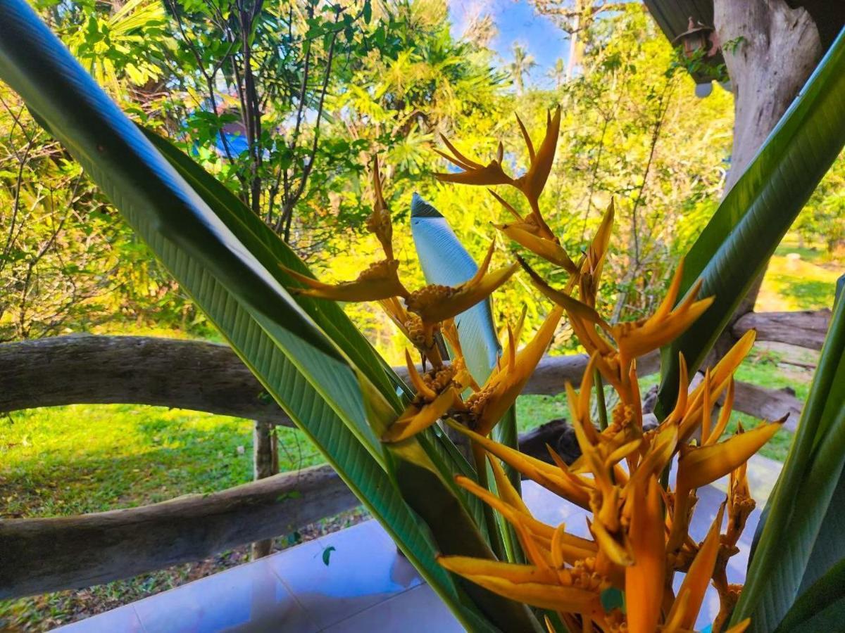 Banmae Resort Kohchang Koh Chang Luaran gambar